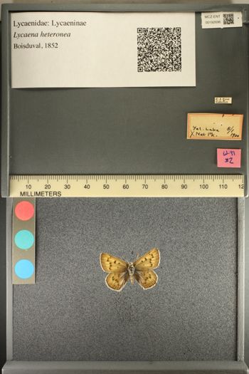 Media type: image;   Entomology 192696